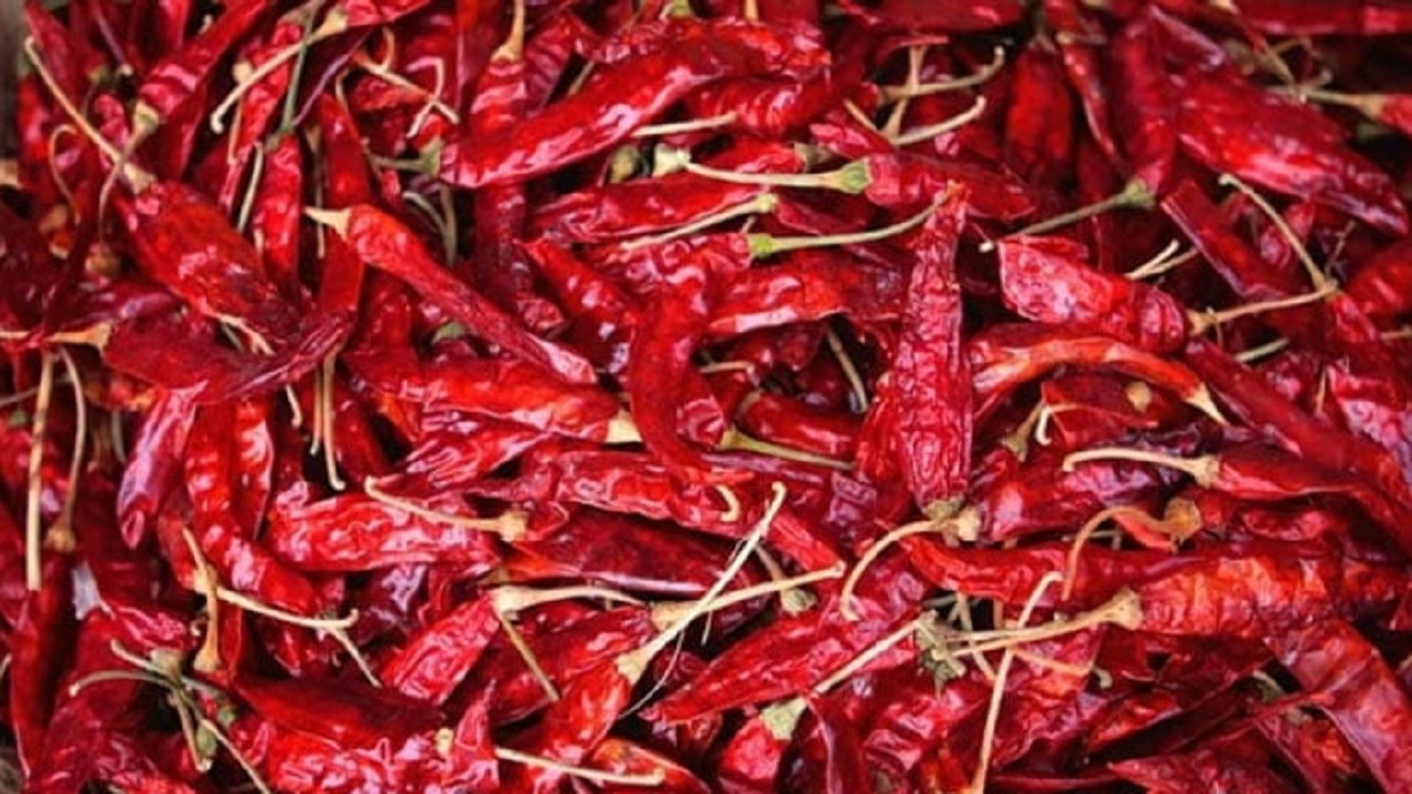 শুকনা মরিচ। ছবি : সংগৃহীত