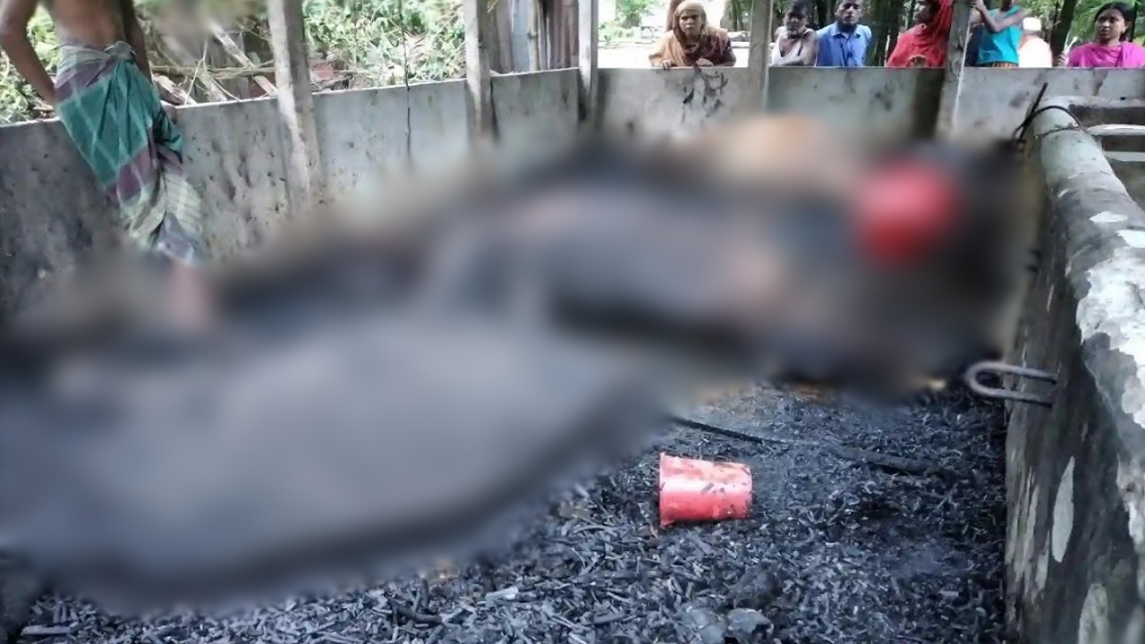 গোয়ালঘরে লাগা আগুনে কৃষকের তিনটি গরু ও ২টি ছাগল ভস্মীভূত।