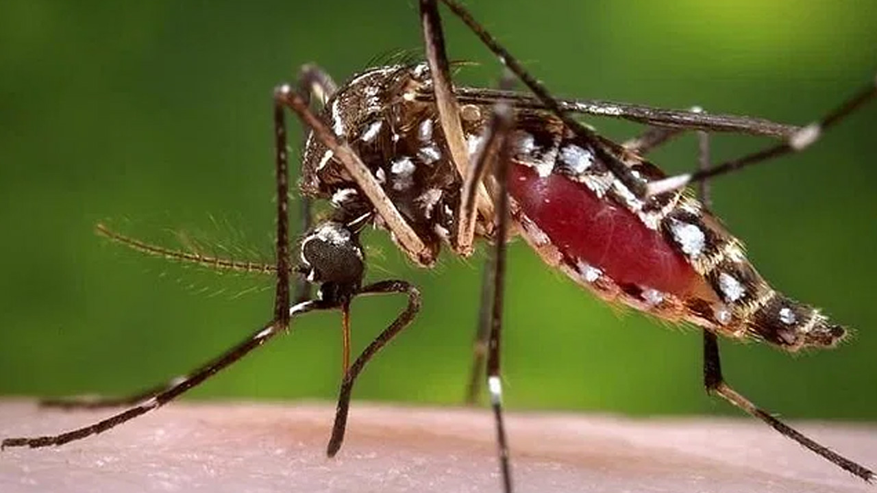 প্রতীকী ছবি