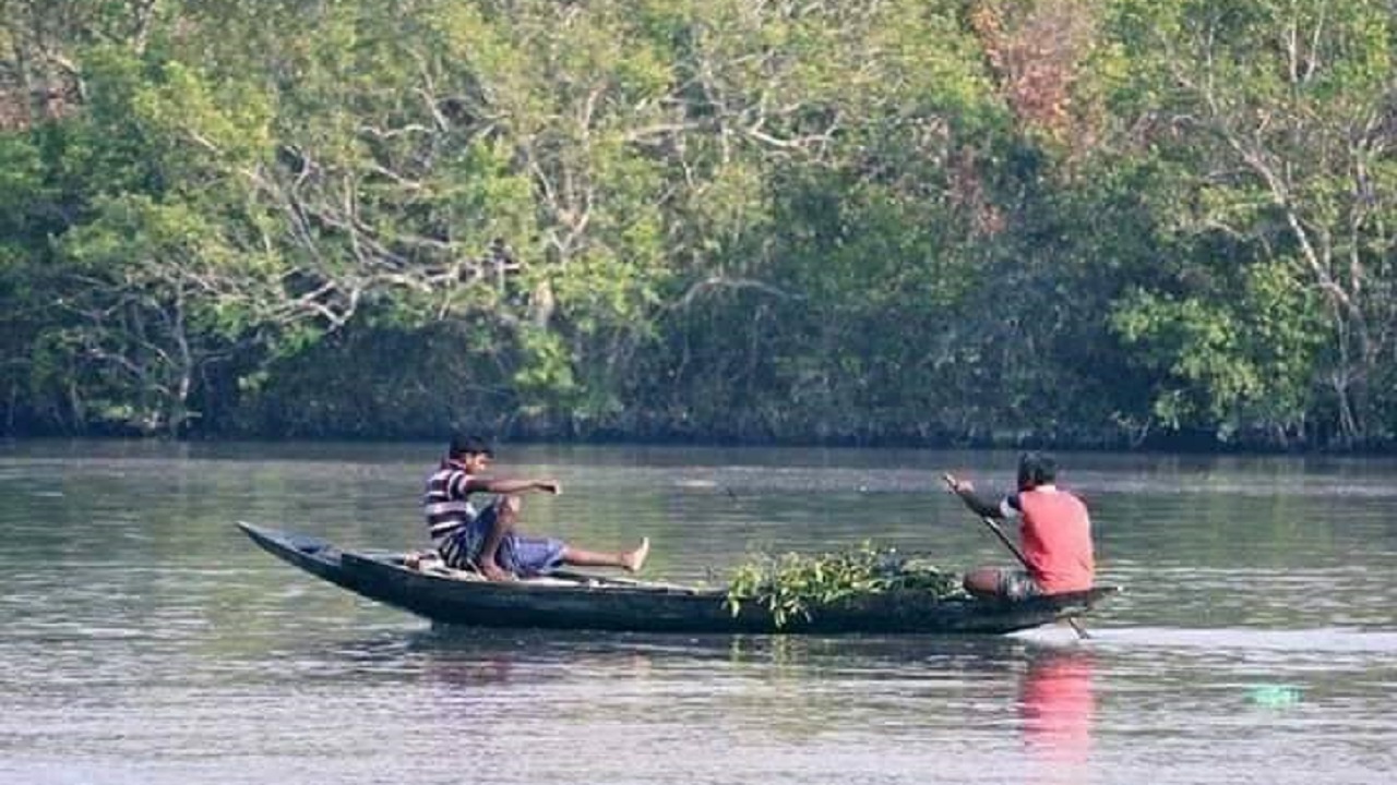 সুন্দরবন। ছবি : কালবেলা