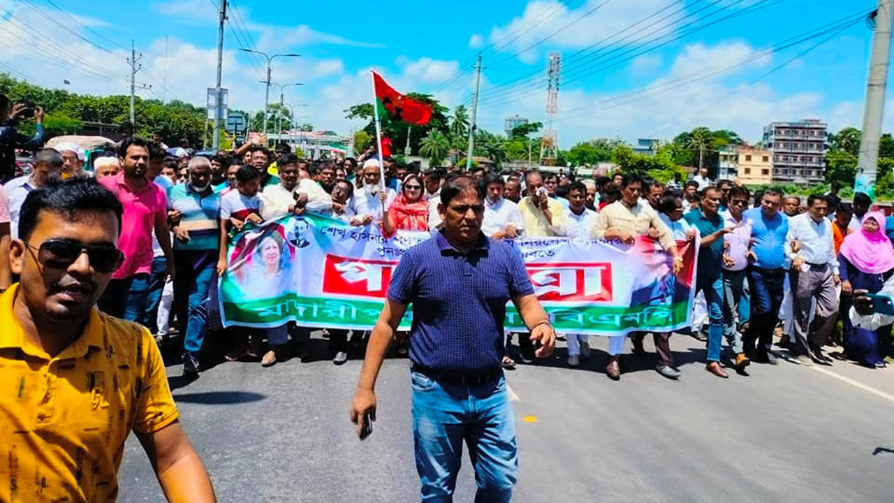 মাদারীপুরে পদযাত্রা করছে বিএনপির নেতাকর্মীরা। ছবি : সংগৃহীত