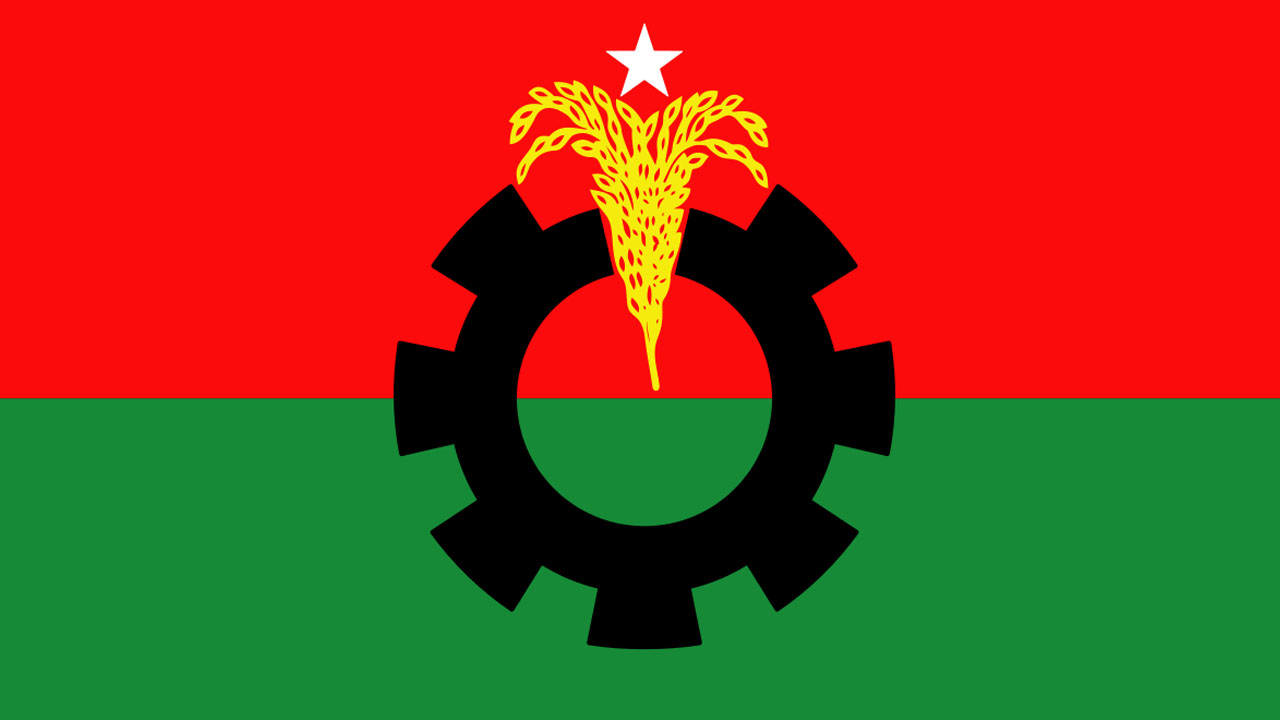 বিএনপির পতাকা।