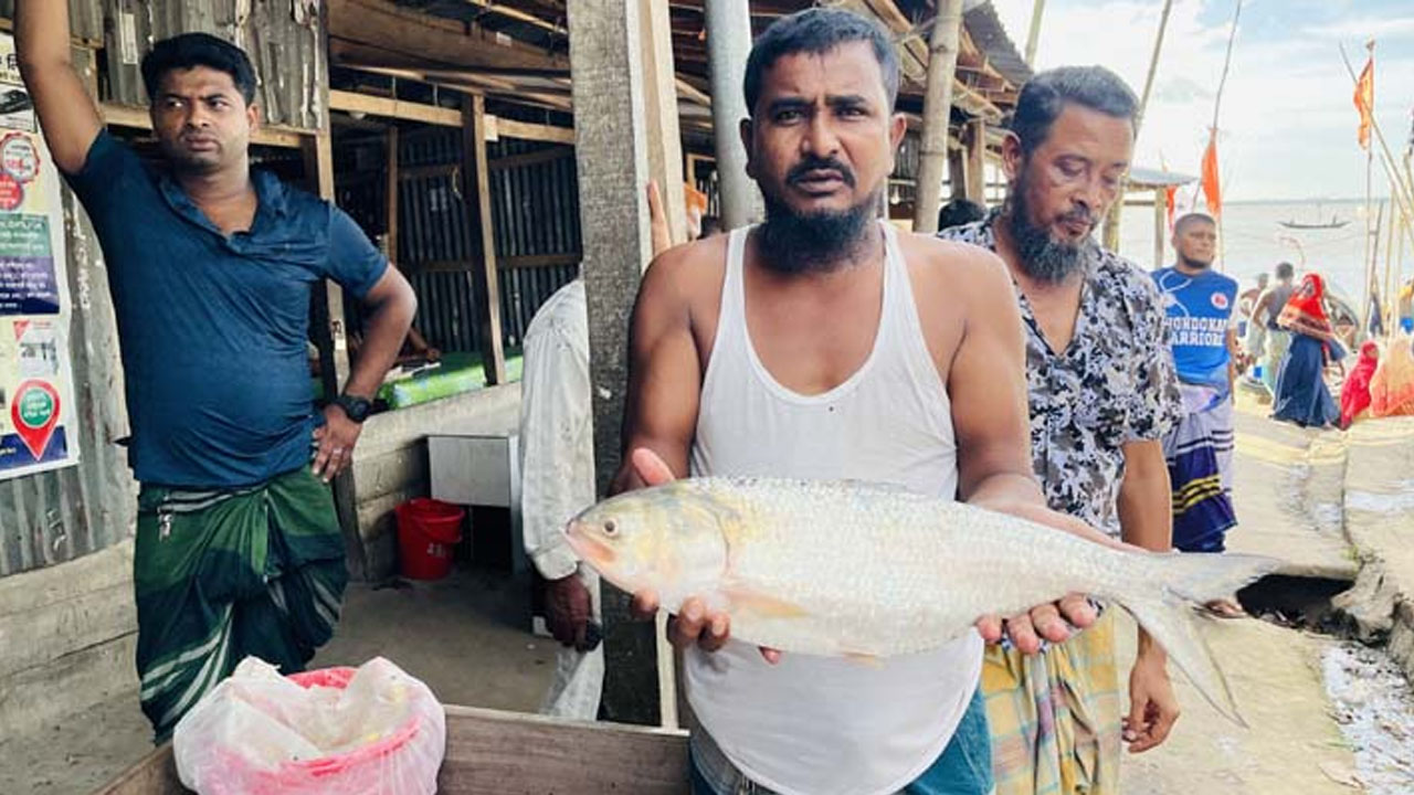 ভোলার মেঘনার তুলাতুলি মৎস্য ঘাটে মাছ হাতে ব্যবসায়ী। ছবি : সংগৃহীত