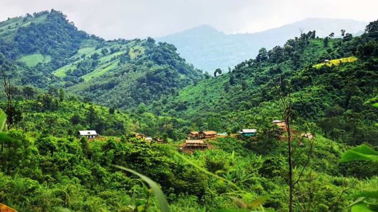বান্দরবানের গহীন অরণ্য। ছবি : সংগৃহীত