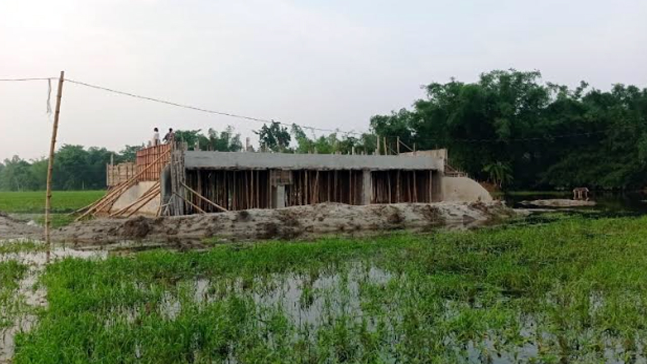 ছবি: জলাশয়ের ওপর নির্মিত সেতু