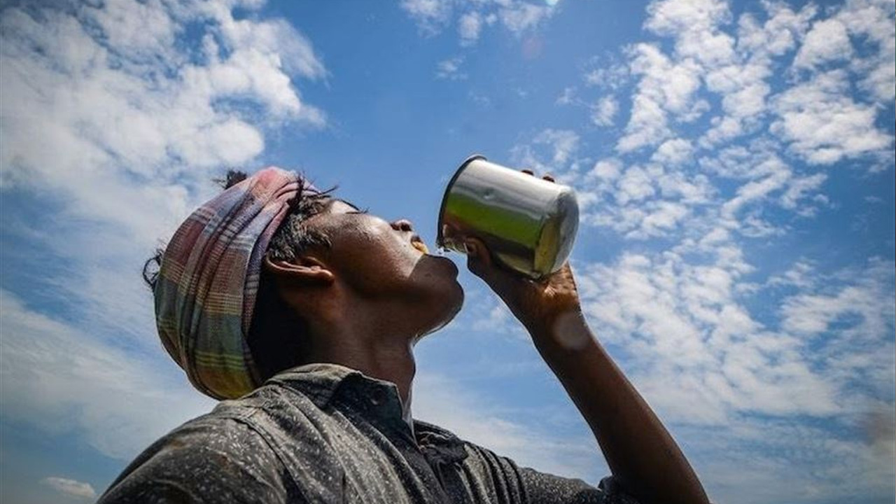 ছবি : সংগৃহীত