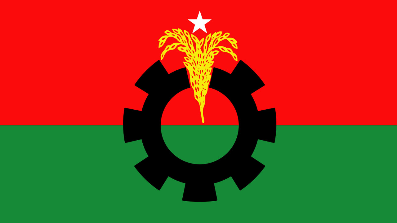 বিএনপির পতাকা।