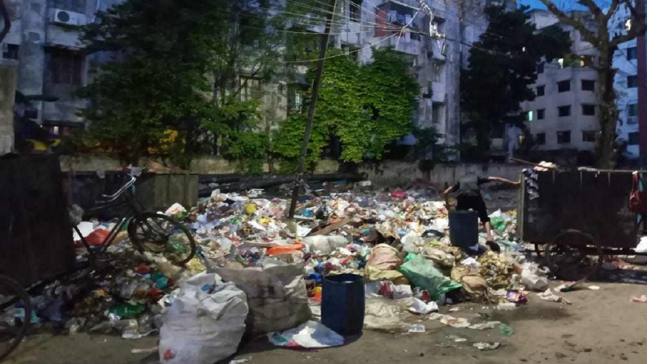 বকশিবাজার শিক্ষাবোর্ড আবাসিক এলাকায় অবস্থিত ময়লার ভাগাড়। ছবি : কালবেলা