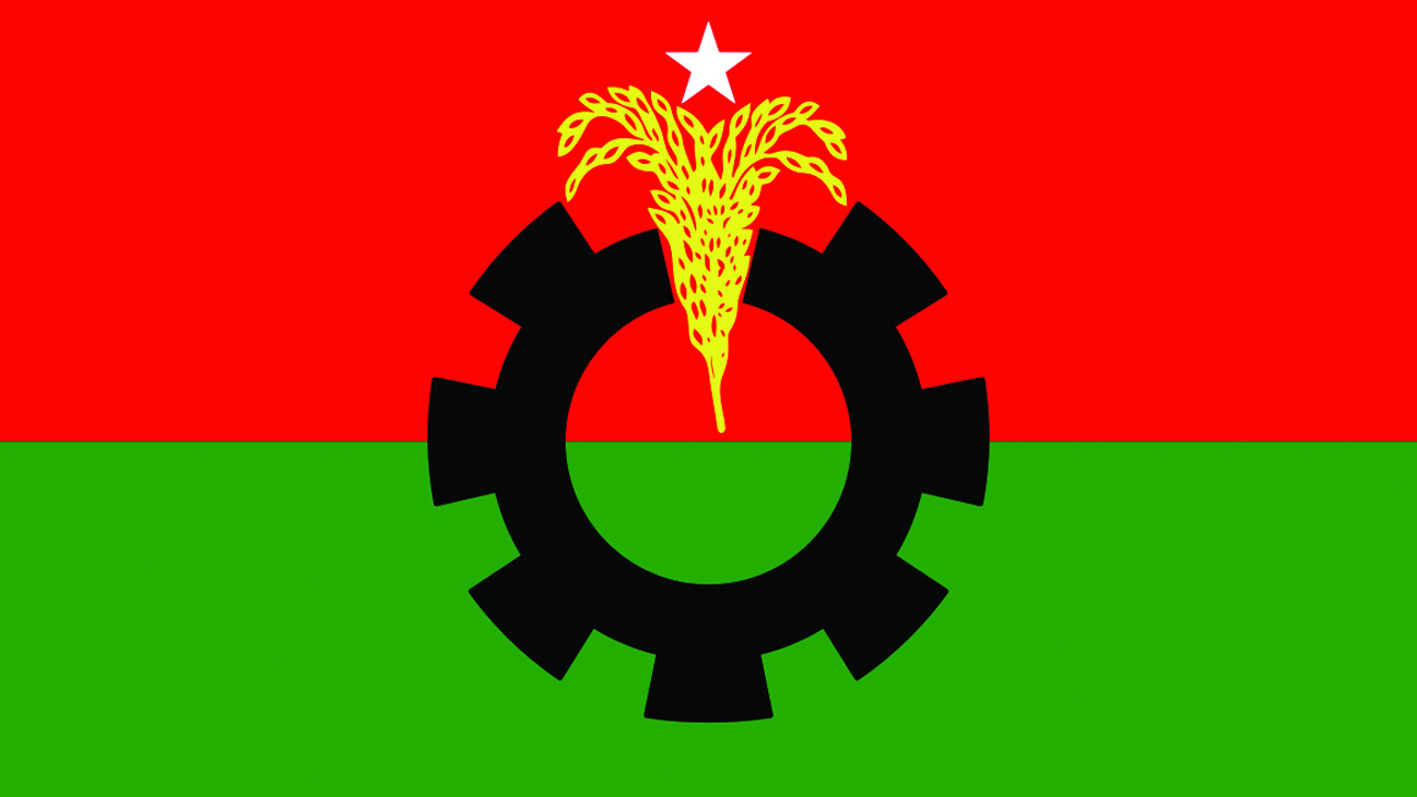 বিএনপির লোগো।