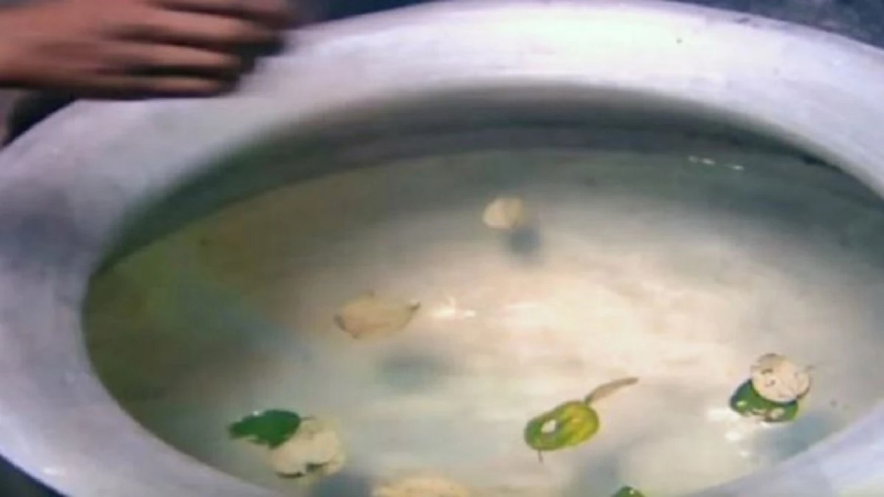 বরইপাতা মিশ্রিত পানি। ছবি : সংগৃহীত