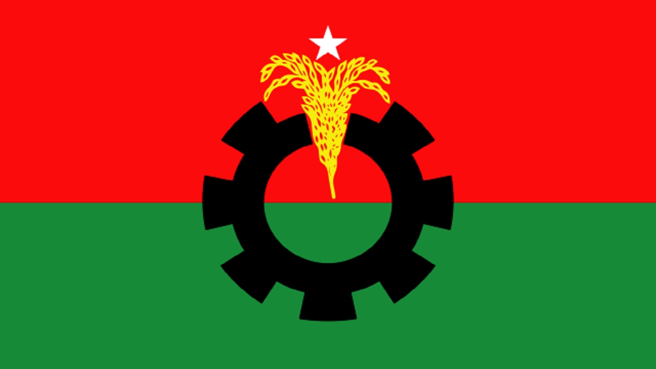 বিএনপির পতাকা। ছবি : সংগৃহীত