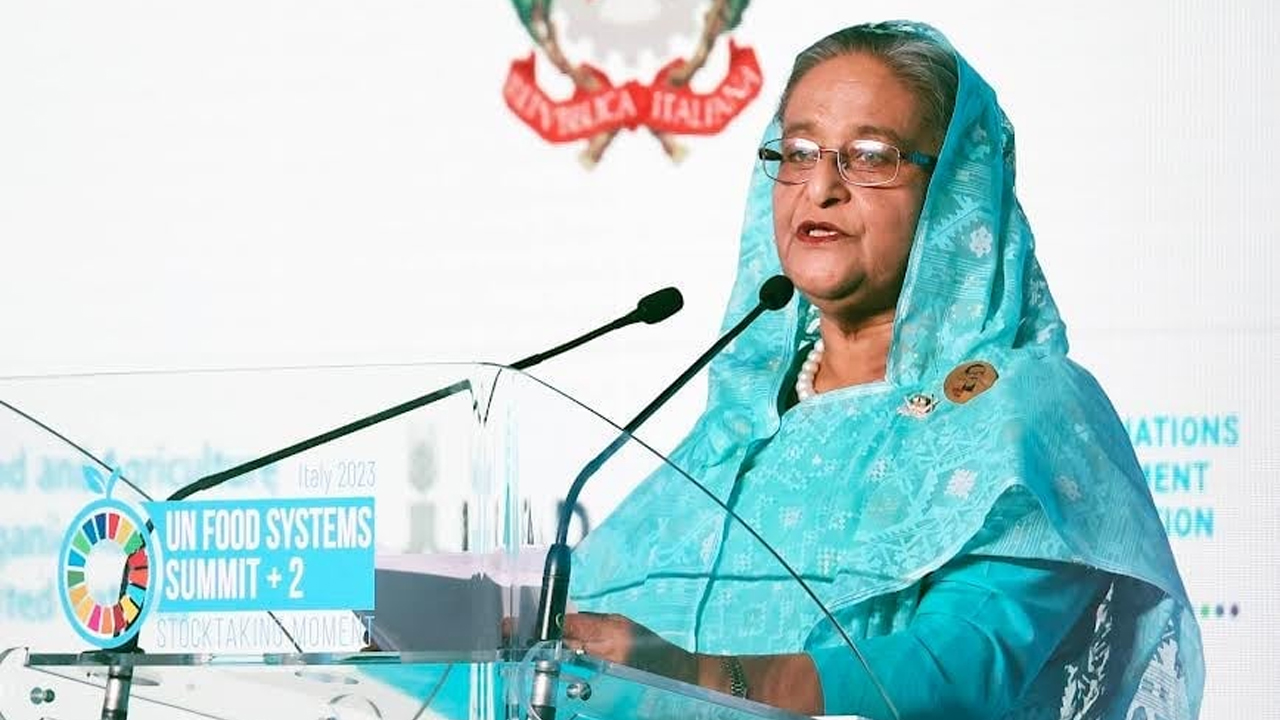 প্রধানমন্ত্রী শেখ হাসিনা। ছবি : সংগৃহীত