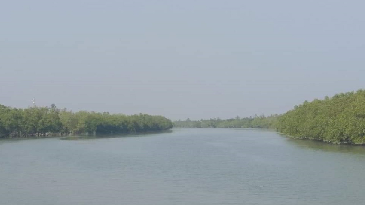 সুন্দরবনের মধ্য দিয়ে বয়ে চলা নদী। ছবি : কালবেলা