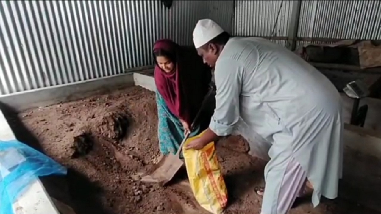 শরীয়তপুরের ভেদরগঞ্জ উপজেলার চরচান্দা গ্রামের রিনা বেগম বিক্রির জন্য কেঁচো সার বস্তায় ভরছেন। ছবি: কালবেলা