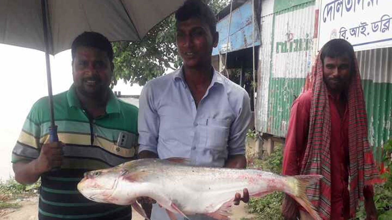 ঢাই মাছ হাতে জেলে। ছবি: সংগৃহীত