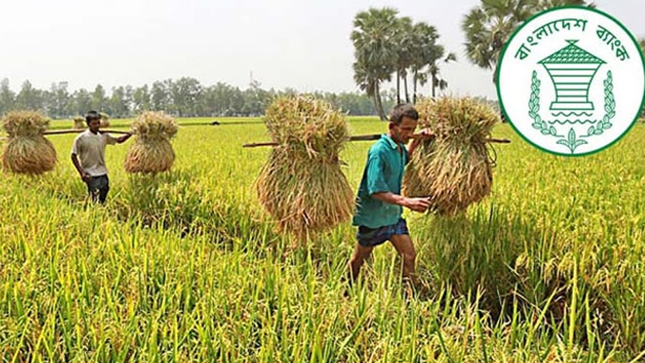 প্রতীকী ছবি।