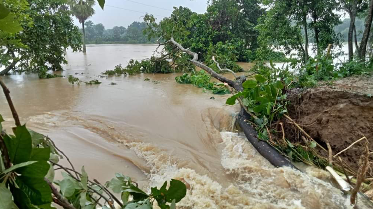 মুহুরী নদীর বাঁধ ভেঙে কয়েকটি গ্রাম প্লাবিত। ছবি : কালবেলা