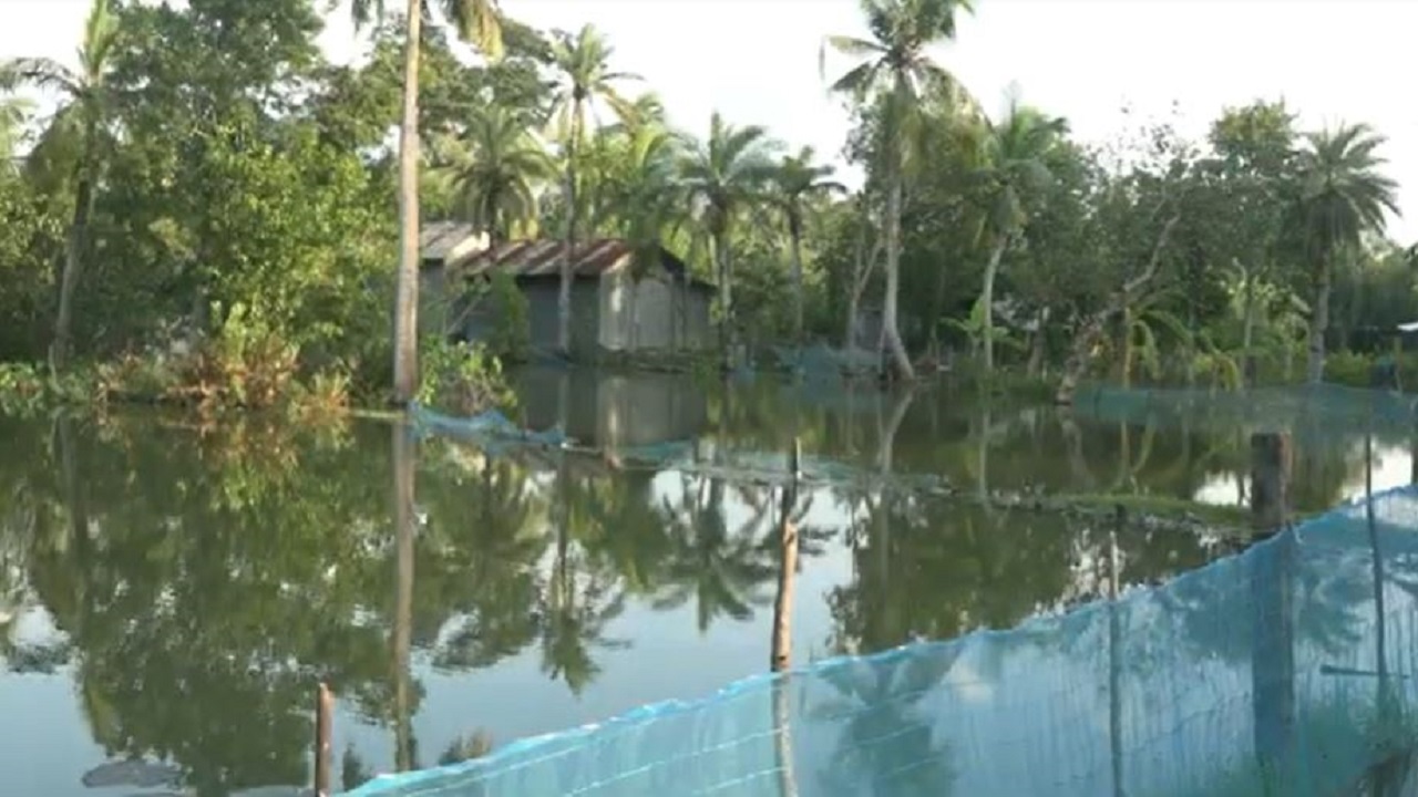 বৃষ্টিতে তলিয়ে গেছে বাড়িঘর। ছবি: কালবেলা