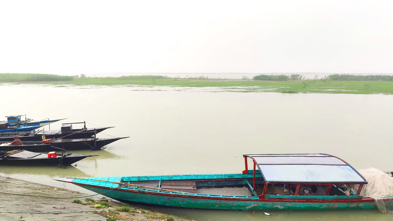 টাঙ্গাইলে যমুনা নদীর পানি বেড়ে আবাদি জমি তলিয়ে যাবার শঙ্কা। ছবি: কালবেলা