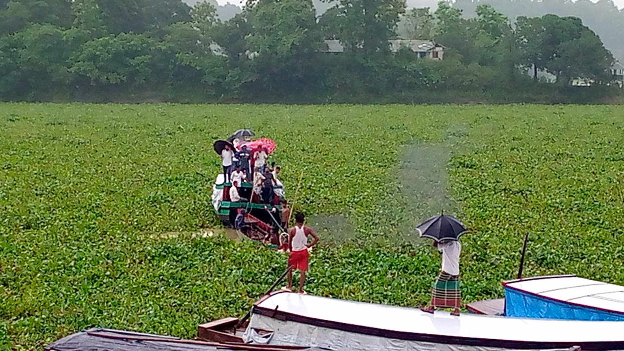 রাঙামাটির কাপ্তাই হ্রদের জেটিঘাট এলাকায় কচুরিপানার জটে ব্যাহত হচ্ছে নৌযান চলাচল। ছবি: কালবেলা