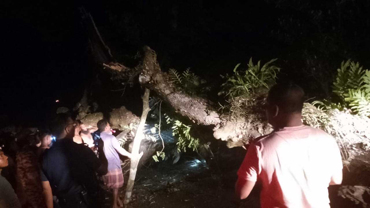 বাসের ওপর গাছের ডাল ভেঙে পড়লে দুই যাত্রী নিহত হন। ছবি : কালবেলা