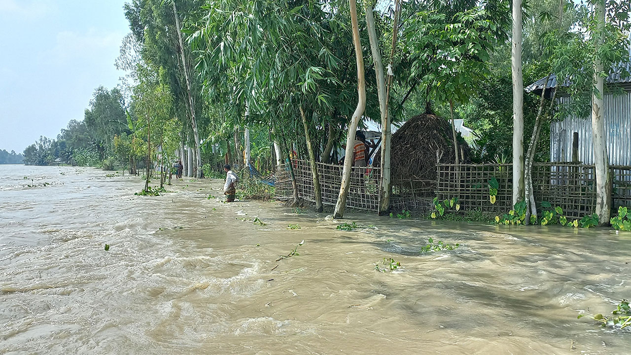 আবারও বিপদসীমার কাছে তিস্তার পানি। ছবি : কালবেলা