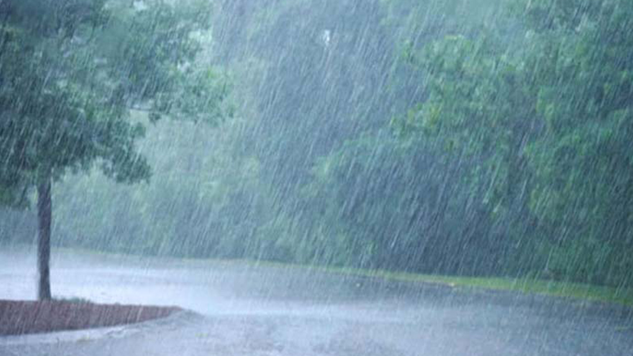 প্রতীকী ছবি