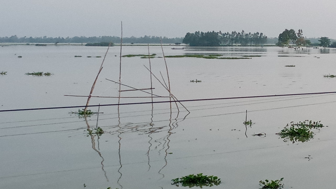 বৃষ্টি ও উজানের ঢলে প্লাবিত কুড়িগ্রামের নিম্নাঞ্চল। ছবি : কালবেলা