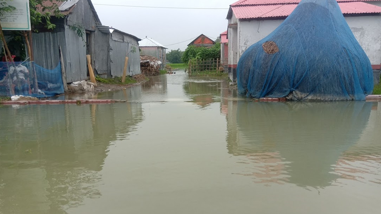 নীলফামারীর ডিমলার ঝুনাগাছ চাপানীর ছাতুনামা কেল্লাপাড়া গ্রামের আশ্রয়ণ প্রকল্পে তিস্তার পানি। ছবি : কালবেলা