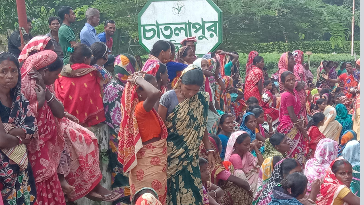 মৌলভীবাজারে চাতলাপুর চা বাগানে নারী শ্রমিকদের বিক্ষোভ। ছবি : কালবেলা