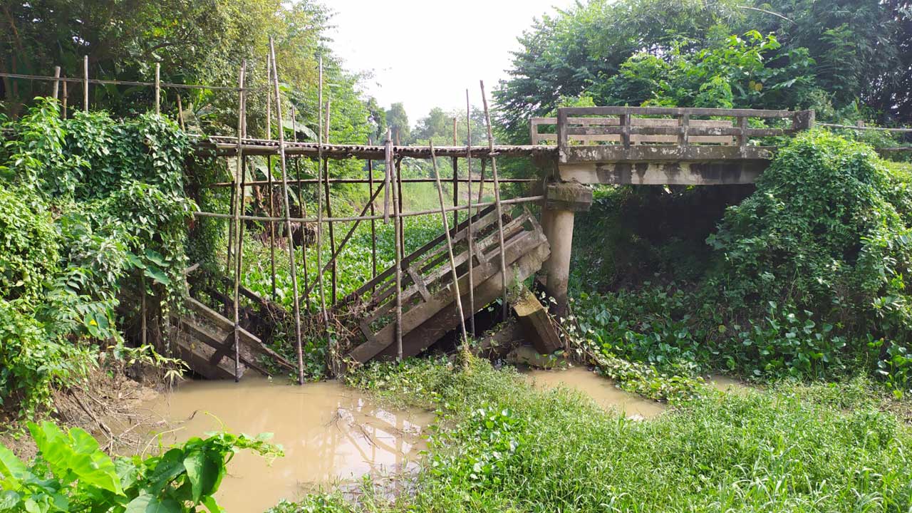 একাংশ ভেঙে যাওয়ায় বাঁশের তৈরি সাঁকো দিয়ে পার হতে হয় সেতৃু। ছবি : কালবেলা