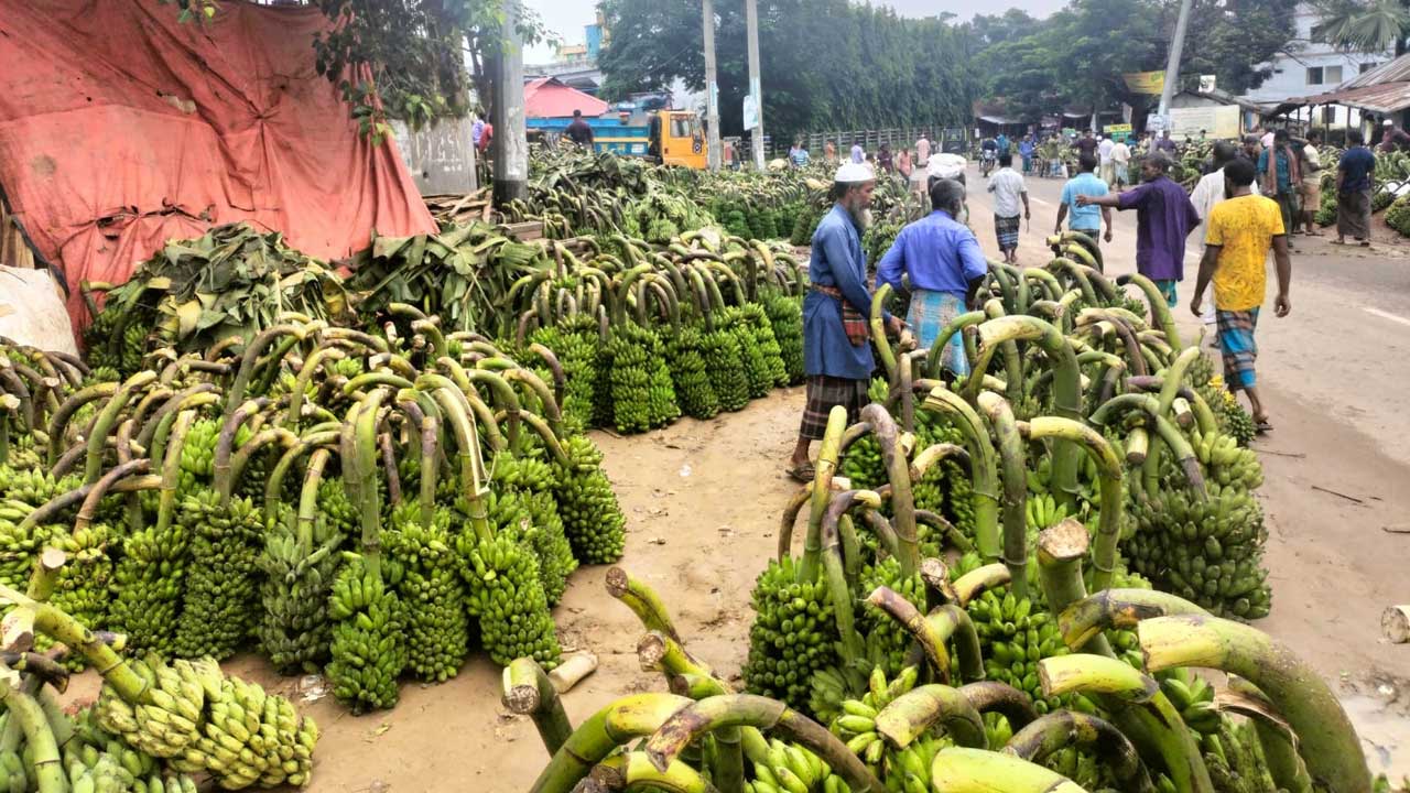 খাগড়াছড়ির মাটিরাঙ্গার হাটে আনা হয়েছে পাহাড়ি কলা। ছবি : কালবেলা