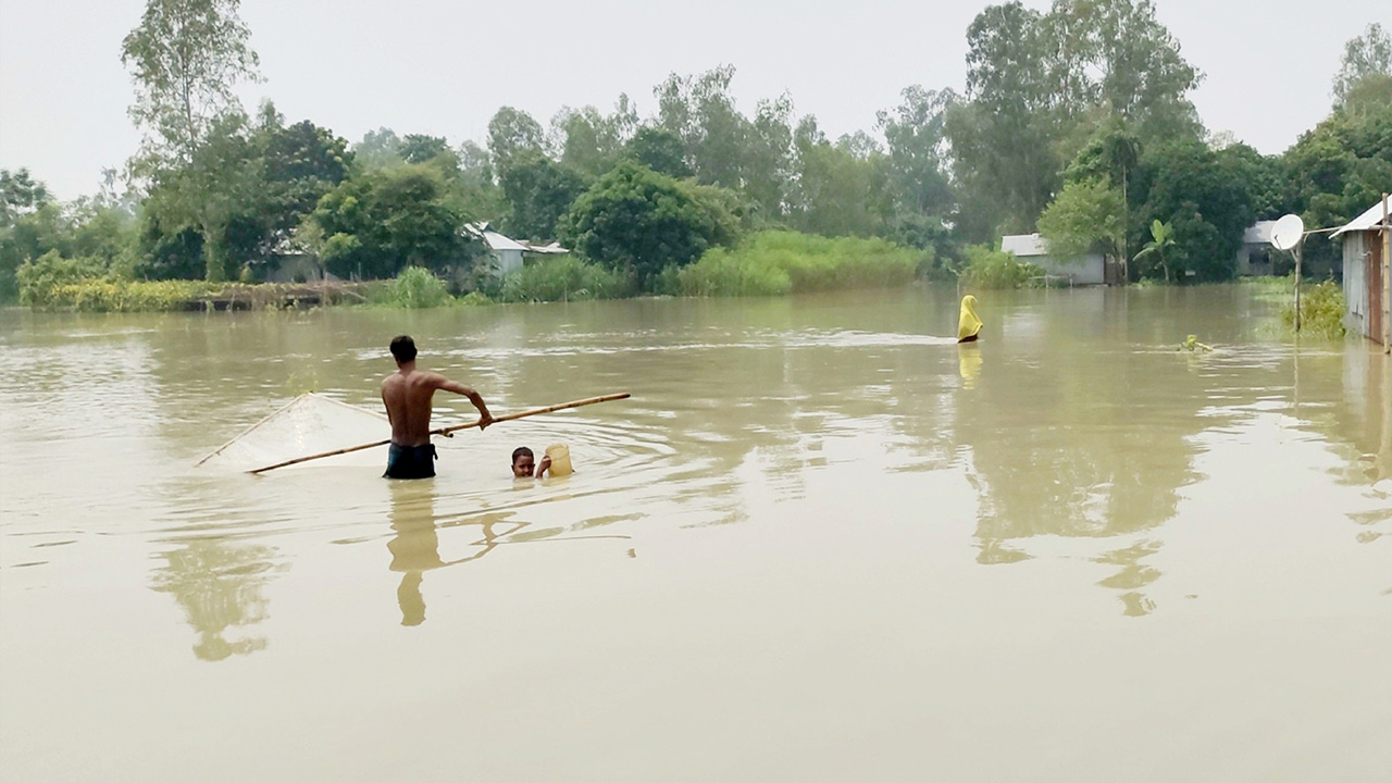 টাঙাইলে যমুনাসহ তিনটি নদীর পানি বিপৎসীমার ওপরে। ছবি : কালবেলা