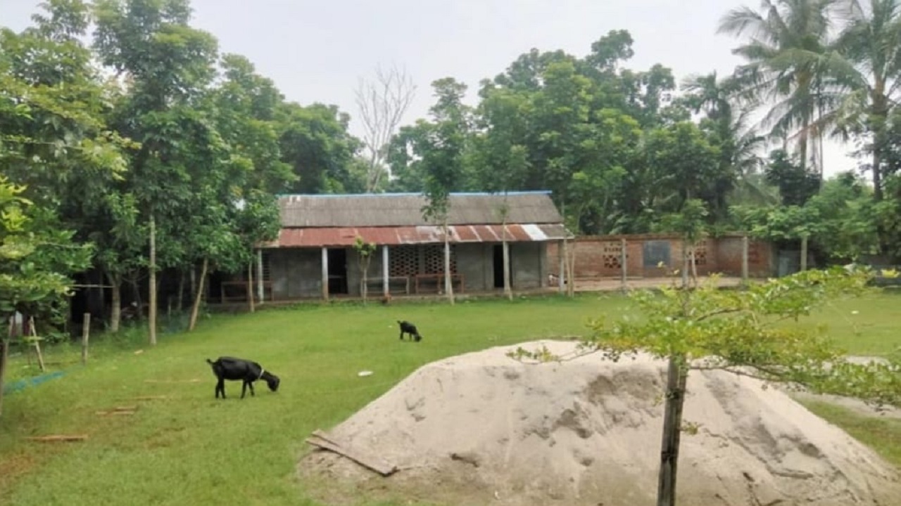 আশাশুনির আনুলিয়া পাইওনিয়ার মাধ্যমিক বালিকা বিদ্যালয়। ছবি : কালবেলা
