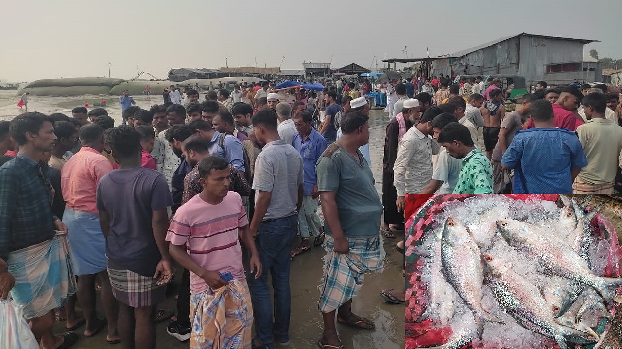 আনোয়ারা রায়পুর ইউনিয়নের গহিরা উঠান মাঝির ঘাটে ইলিশ বাজারে ক্রেতাদের ভিড়। ইনসেটে ইলিশ মাছ। ছবি : কালবেলা