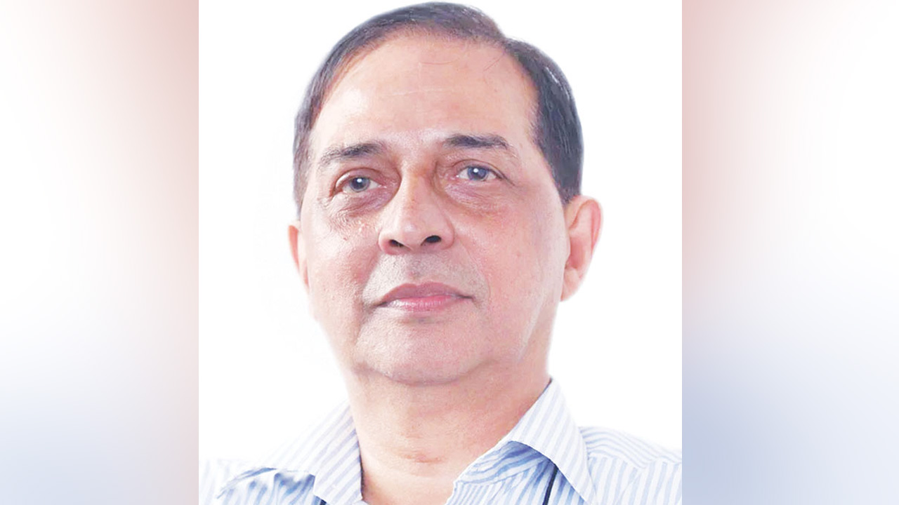 আইন বিশেষজ্ঞ ড. শাহদীন মালিক। ছবি : সংগৃহীত