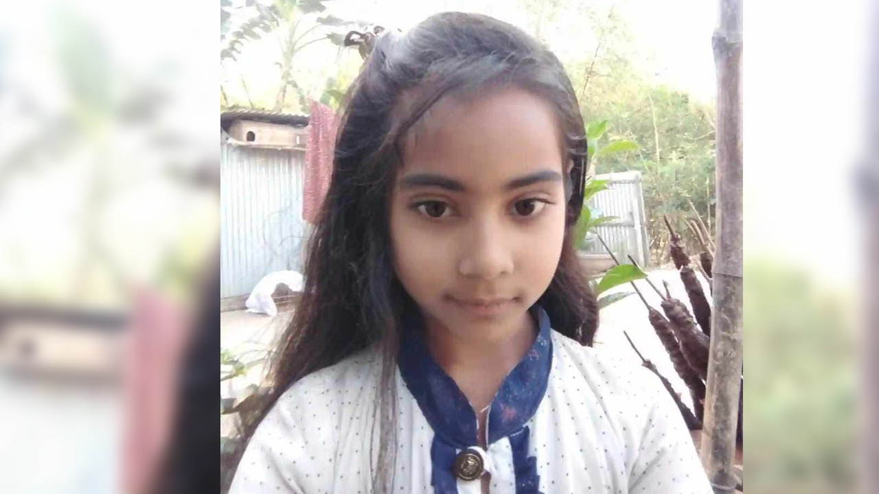 সচেতনতাই রুখতে পারে ডেঙ্গুর ভয়াবহতা : আমু