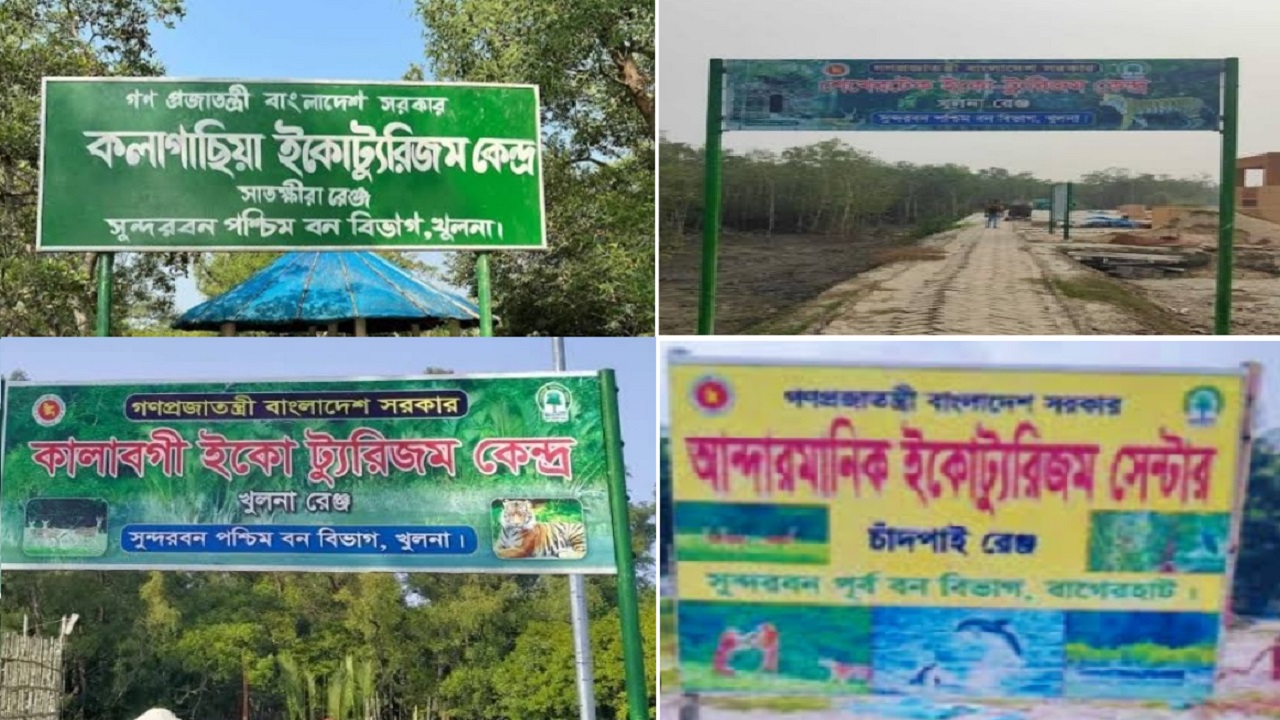 সুন্দরবনে গড়ে উঠছে নতুন চার ইকোপার্ক। ছবি : কালবেলা