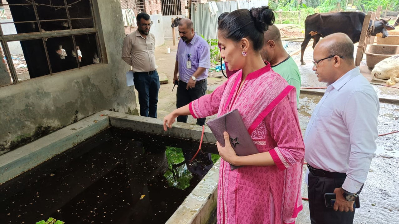 এডিসের লার্ভা পাওয়ায় জরিমানা করেছে ঢাকা উত্তর সিটি করপোরেশন। ছবি : কালবেলা