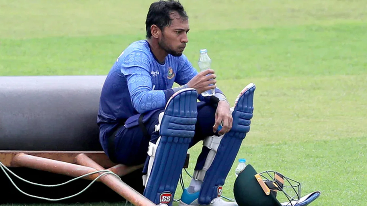 মুশফিকুর রহিম। ছবি : সংগৃহীত