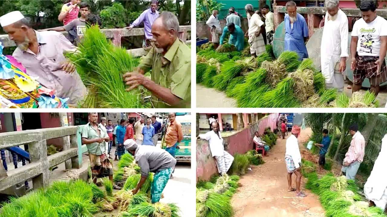 ছবি : সংগৃহীত