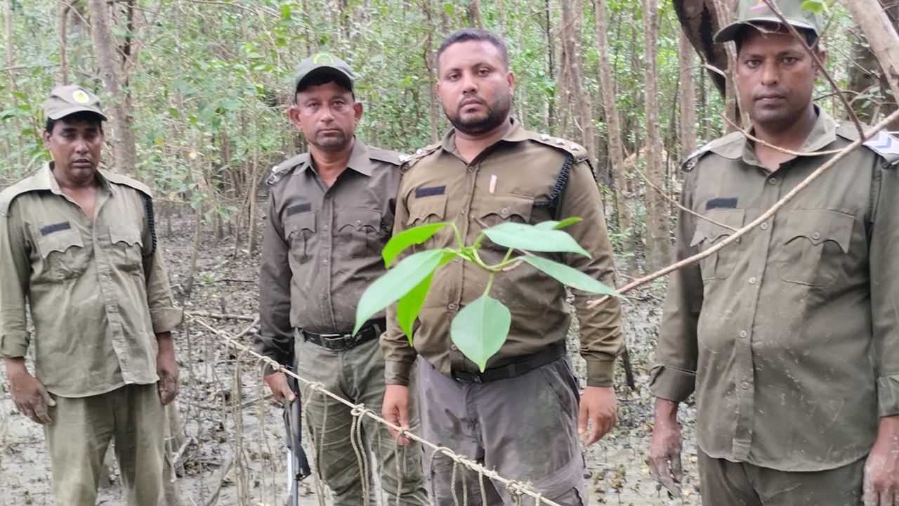 সুন্দরবনে হরিণ শিকারি গুলিবিদ্ধ। ছবি : কালবেলা