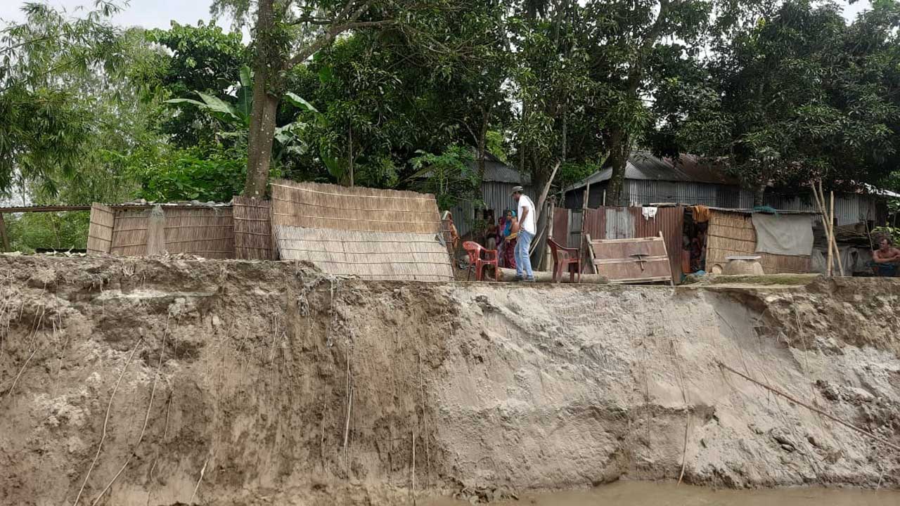 কুড়িগ্রামে ব্রহ্মপুত্রের ভাঙনে হুমকিতে বসতভিটা। ছবি : কালবেলা