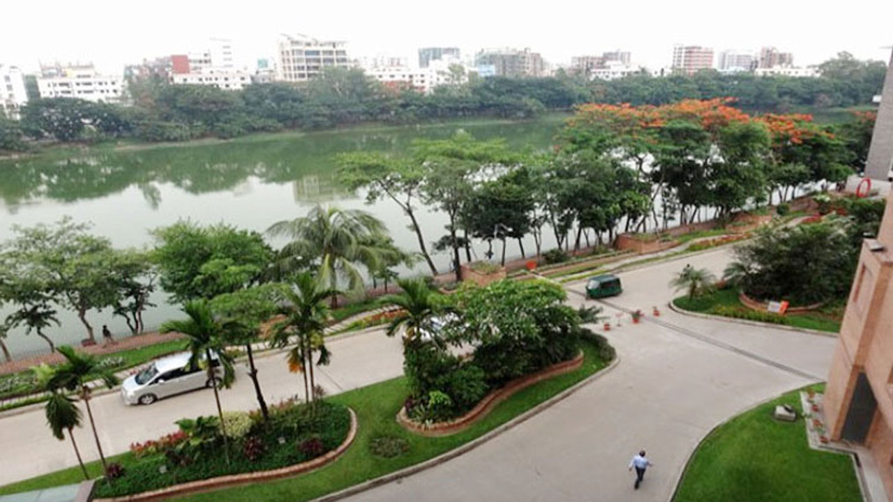 ছবি : সংগৃহীত