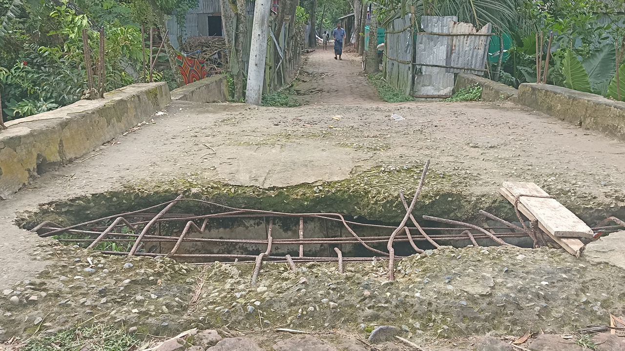 ব্রাহ্মণপাড়ার উত্তর তেঁতাভূমি গ্রামের সেতুটির ঢালাই ভেঙে রড বেরিয়ে এসেছে। ছবি : কালবেলা