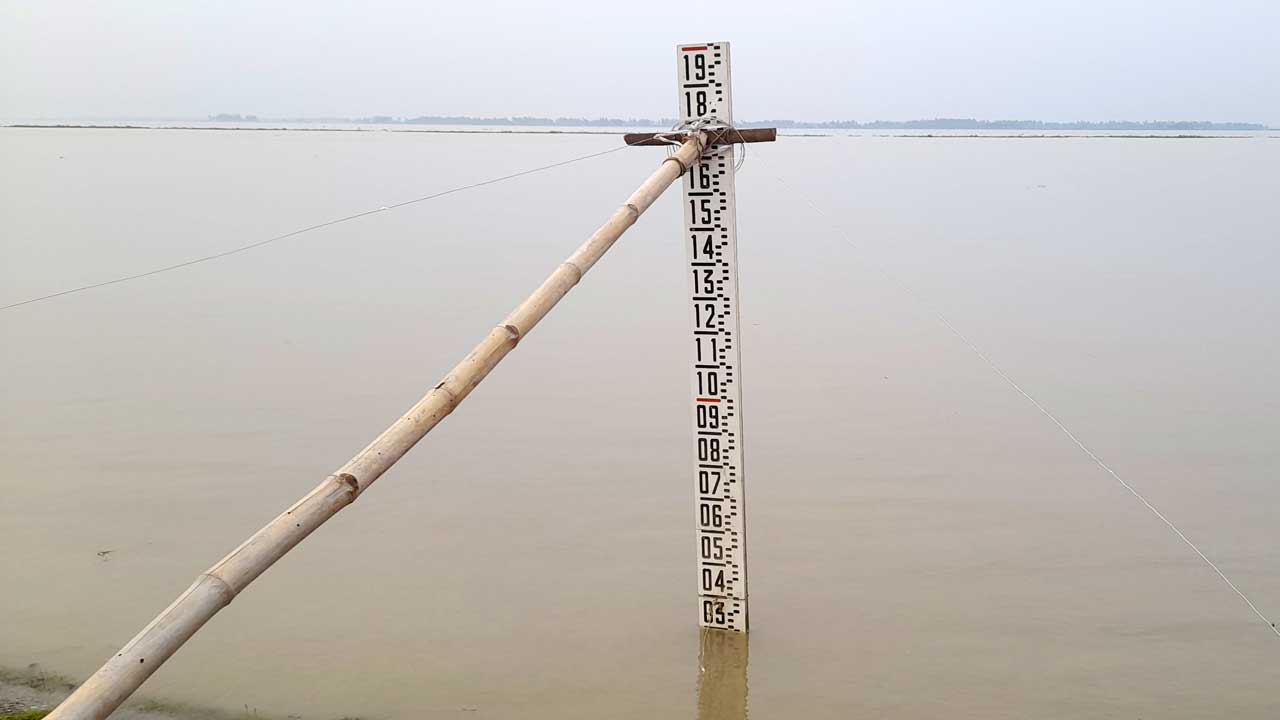 সিরাজগঞ্জে হঠাৎ বৃদ্ধি পাচ্ছে যমুনার পানি। ছবি : কালবেলা