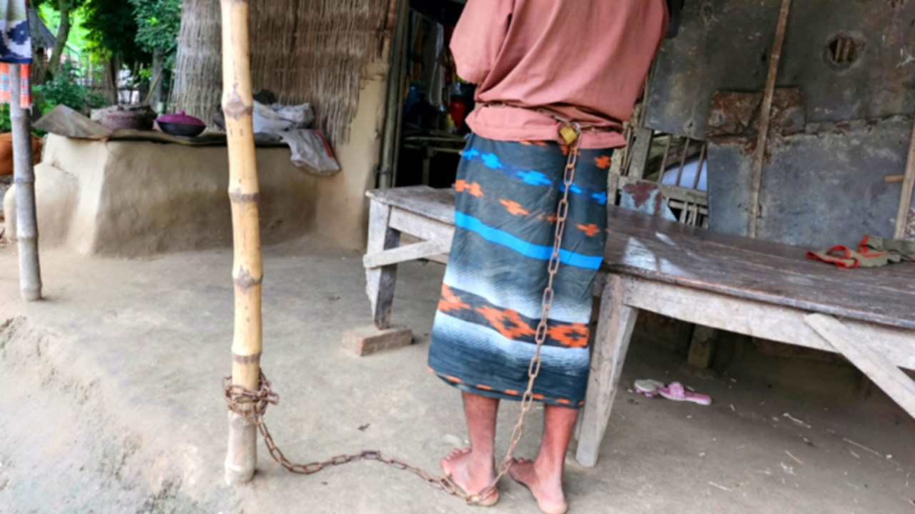 নাটোরের গুরুদাসপুরে কৃষক আসাদ আলীকে শিকলে বেঁধে রাখা হয়। ছবি : কালবেলা