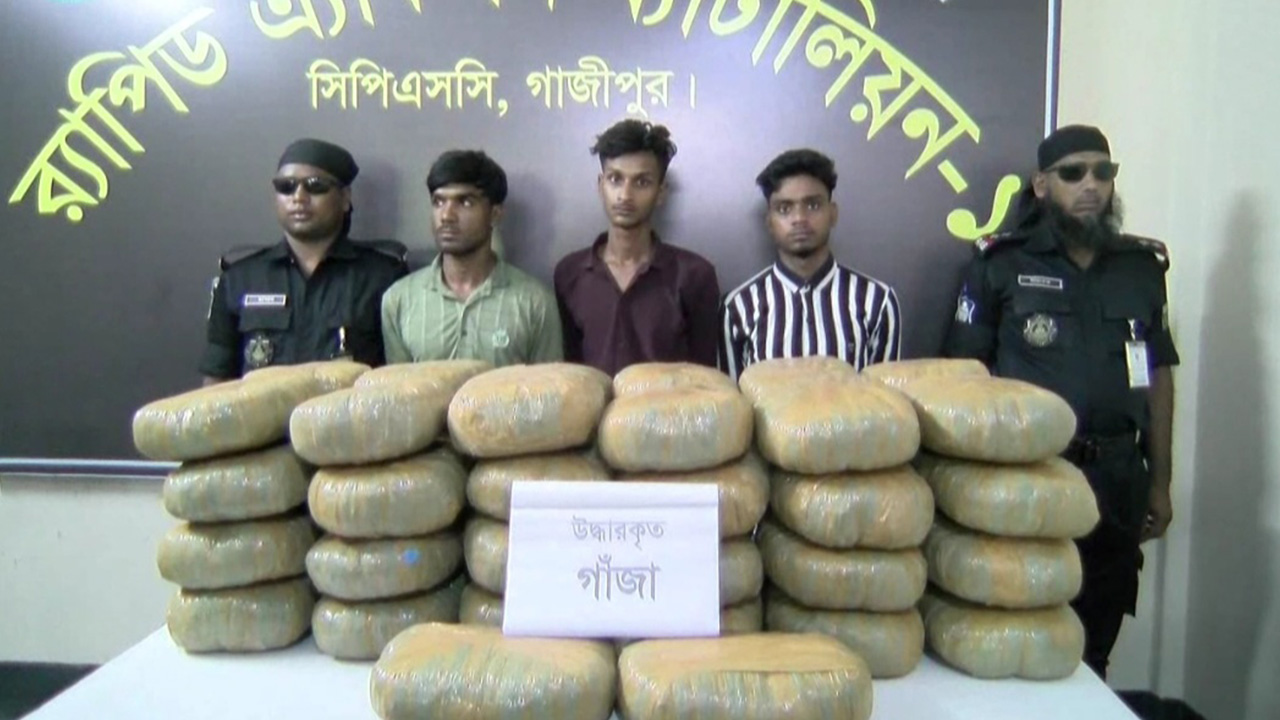 গাজীপুরে ১০০ কেজি গাঁজাসহ তিন মাদক কারবারি গ্রেপ্তার। ছবি : কালবেলা