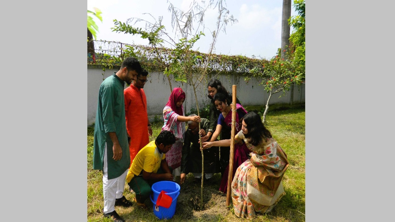 প্রধানমন্ত্রী শেখ হাসিনার জন্মদিনের বৃক্ষরোপণ করছেন যবিপ্রবির শিক্ষার্থীরা। ছবি : কালবেলা
