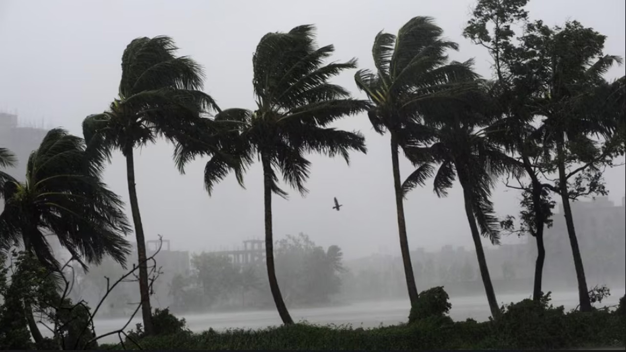 ছবি : সংগৃহীত